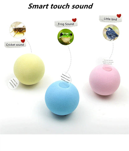 Smart Interactive Cat Toy Ball with Sound & Catnip | EURO VIBE