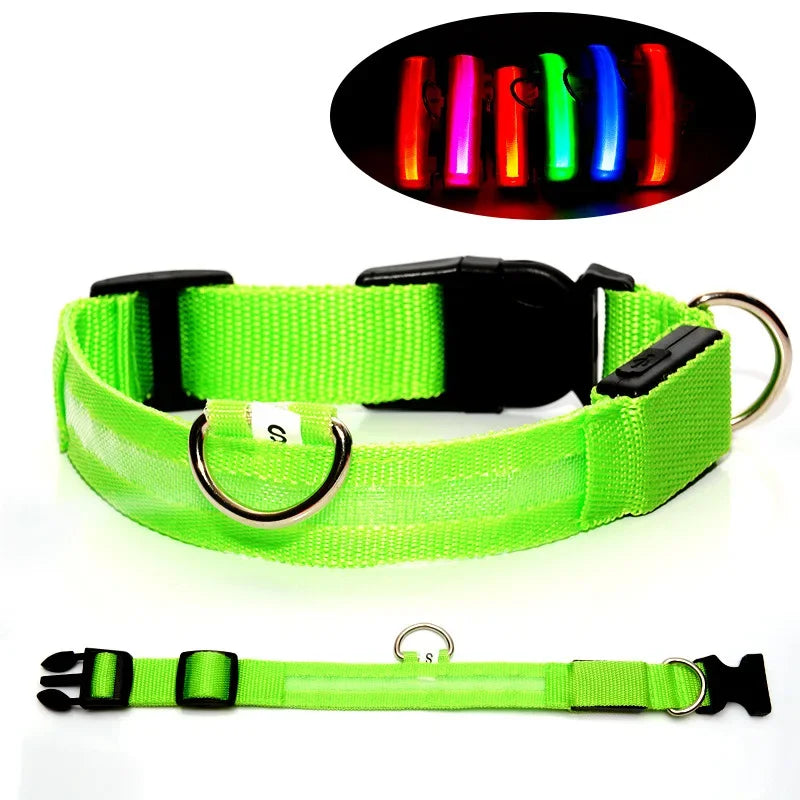 Nylon LED Night Safety Flashing Glow In The Dark Dog Leash Dogs Luminous Fluorescent Pet Dog Collar
