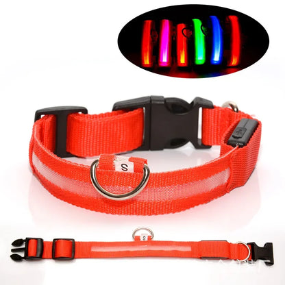 Nylon LED Night Safety Flashing Glow In The Dark Dog Leash Dogs Luminous Fluorescent Pet Dog Collar