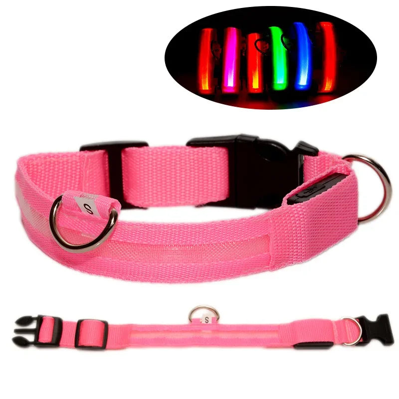 Nylon LED Night Safety Flashing Glow In The Dark Dog Leash Dogs Luminous Fluorescent Pet Dog Collar