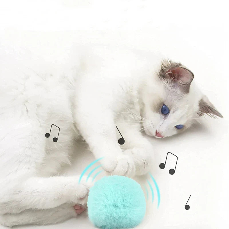 Smart Interactive Cat Toy Ball with Sound & Catnip | EURO VIBE